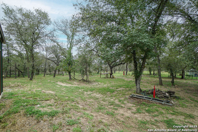 719 Falling Leaves, Adkins, Texas image 21