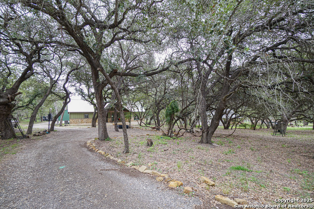 719 Falling Leaves, Adkins, Texas image 24