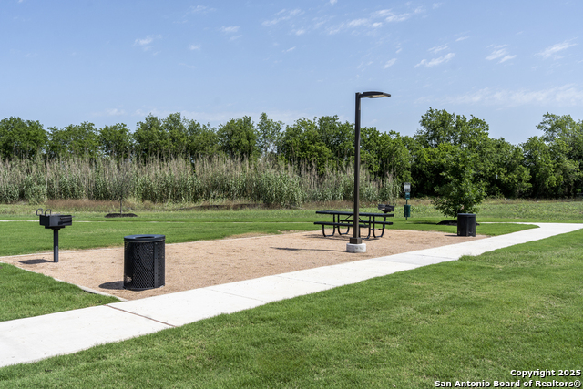 4148 Briar Park, Seguin, Texas image 3