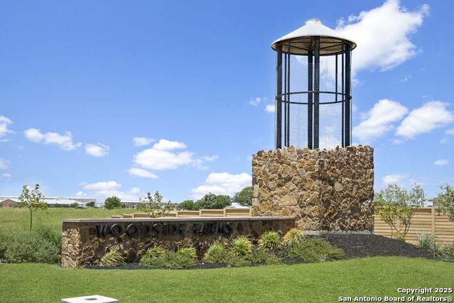 4148 Briar Park, Seguin, Texas image 5