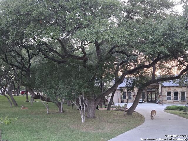 656 River Way, Spring Branch, Texas image 3