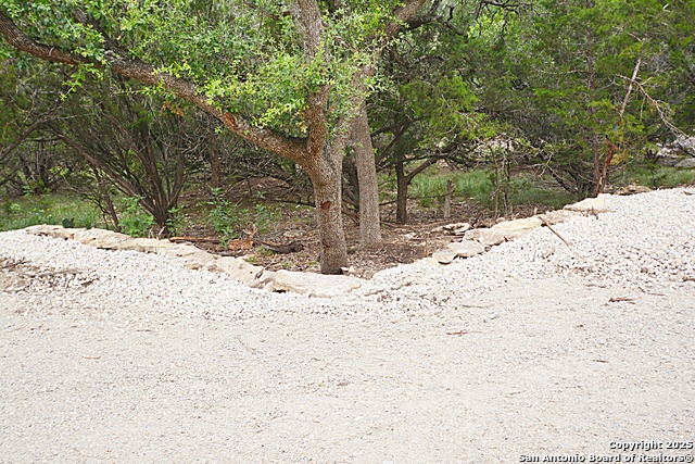 197 Bogi, Canyon Lake, Texas image 11