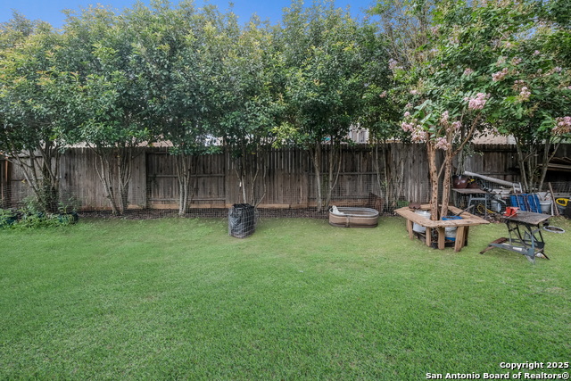 3157 Birch Bend, New Braunfels, Texas image 11