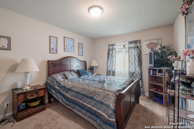 3157 Birch Bend, New Braunfels, Texas image 9