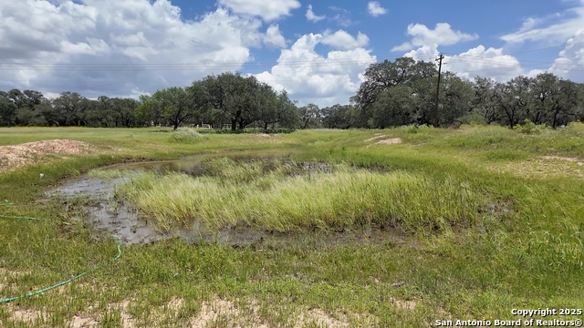 1655 Eichman Rd, Poteet, Texas image 37