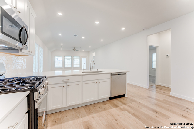1558 Estelea Grove, New Braunfels, Texas image 3