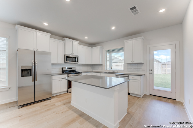 1551 Estelea Grove, New Braunfels, Texas image 2