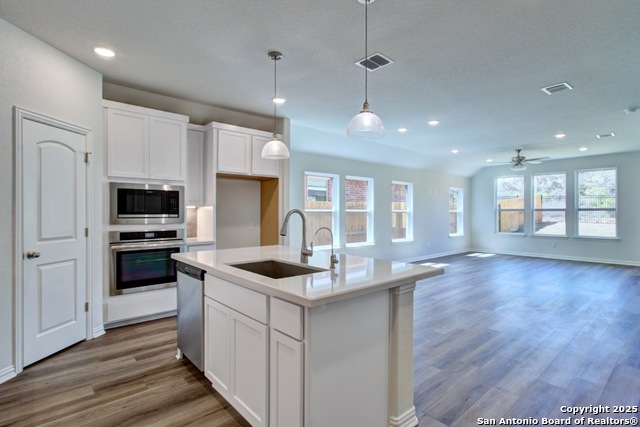 1840 Heritage Maples, New Braunfels, Texas image 4