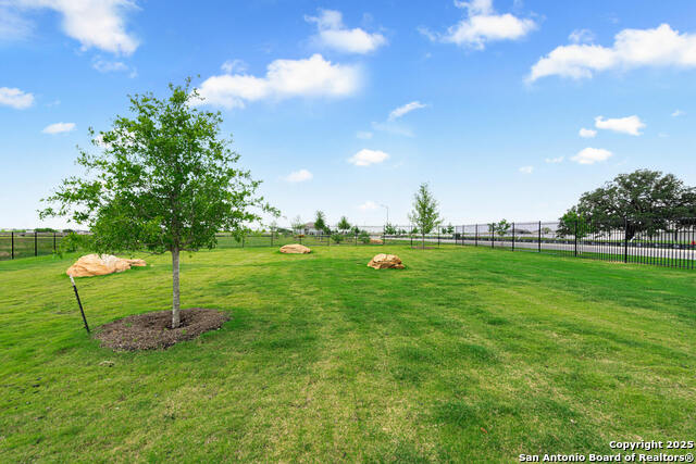 16020 Imes Way, Lytle, Texas image 28