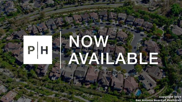 5785 Satchel Tail, New Braunfels, Texas image 4