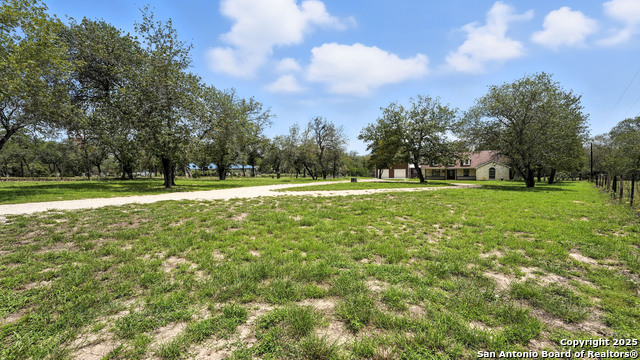 1435 Meadow Glen, Adkins, Texas image 4