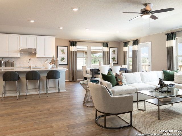123 Shelton Pass, Cibolo, Texas image 3