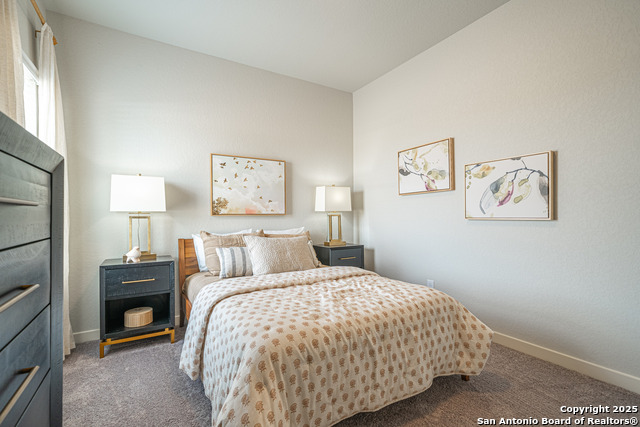 717 Willowbrook, New Braunfels, Texas image 10