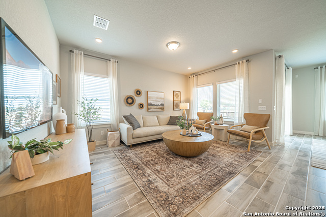 717 Willowbrook, New Braunfels, Texas image 13