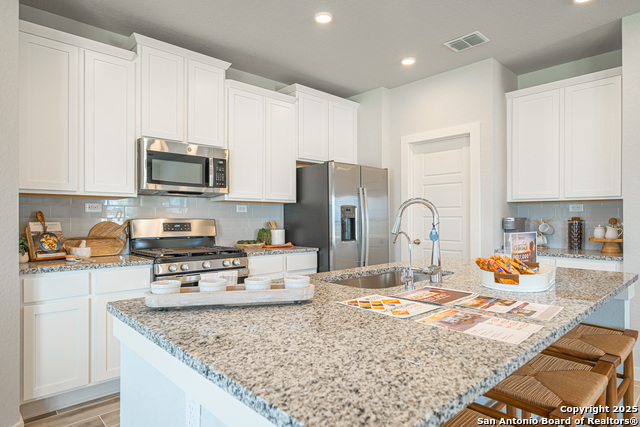717 Willowbrook, New Braunfels, Texas image 19