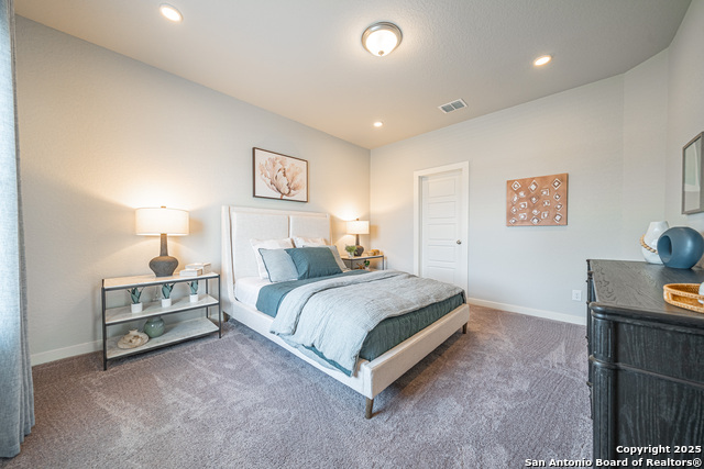 717 Willowbrook, New Braunfels, Texas image 25