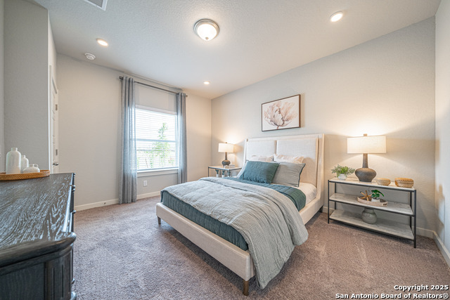 717 Willowbrook, New Braunfels, Texas image 26