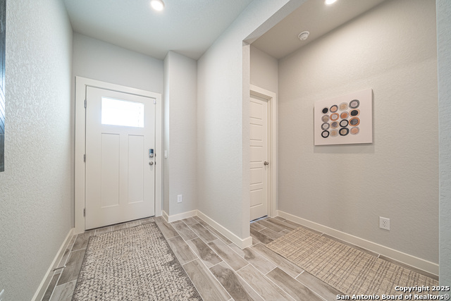 717 Willowbrook, New Braunfels, Texas image 4