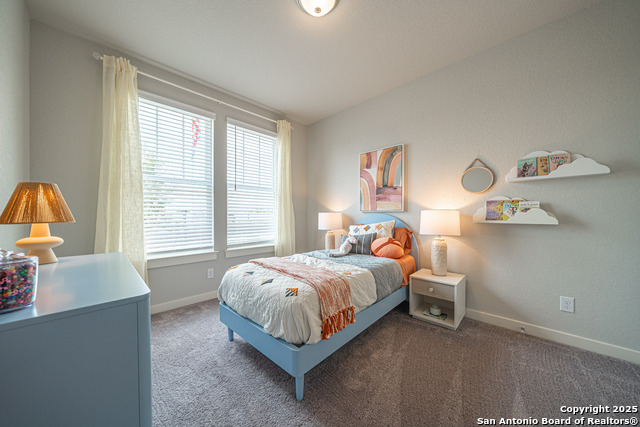 717 Willowbrook, New Braunfels, Texas image 5