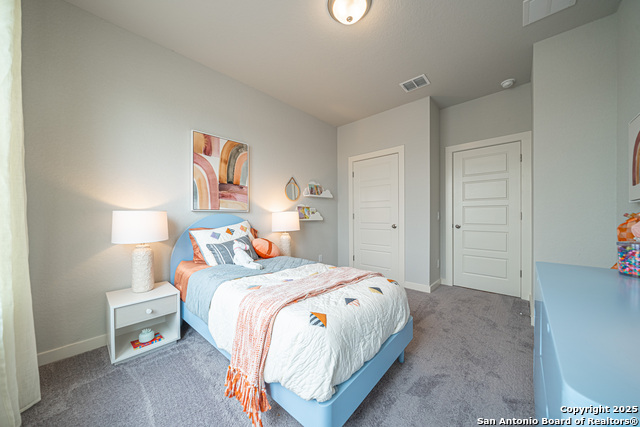 717 Willowbrook, New Braunfels, Texas image 6