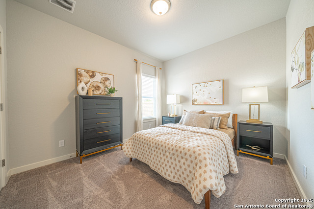 717 Willowbrook, New Braunfels, Texas image 9