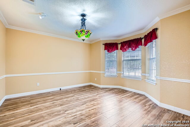 6125 Wegner, New Braunfels, Texas image 14