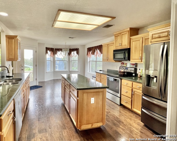 6125 Wegner, New Braunfels, Texas image 15