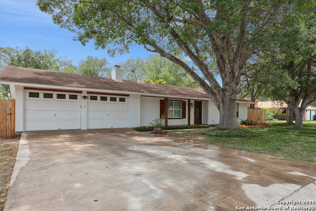 1334 Carnation, New Braunfels, Texas image 1