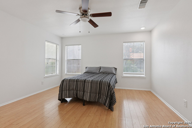 1334 Carnation, New Braunfels, Texas image 17