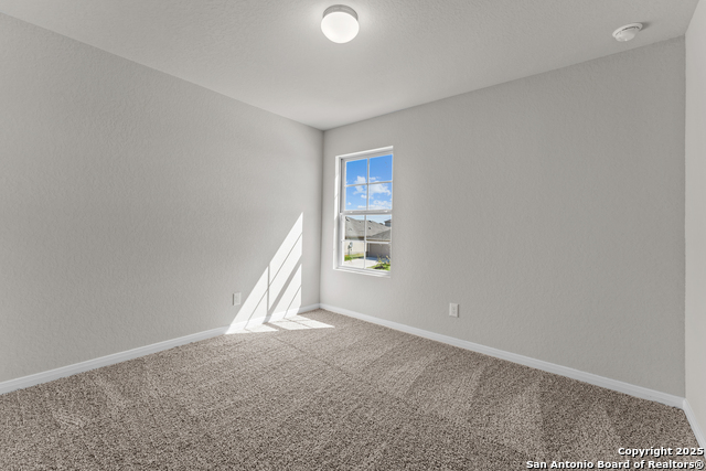 5052 Cacti Orchard, San Antonio, Texas image 19