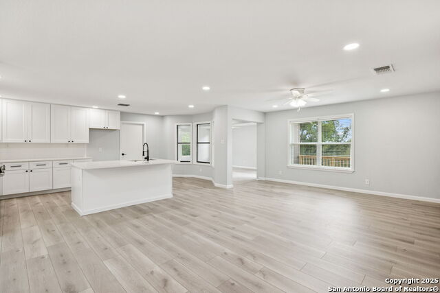 1163 Fox Run, New Braunfels, Texas image 11