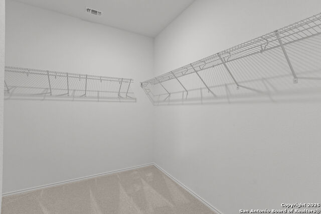 5232 Seagrass, San Antonio, Texas image 7