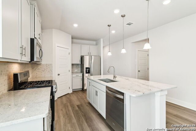 25912 Marigold Oaks, Boerne, Texas image 5
