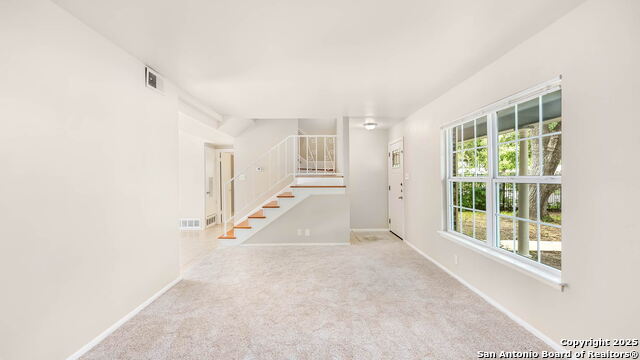 8019 Riata Ave, San Antonio, Texas image 6