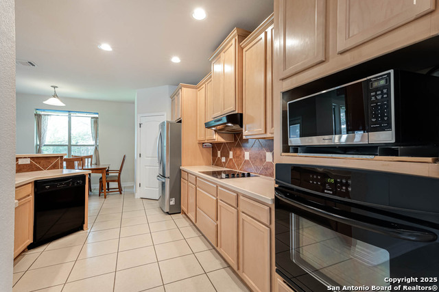 9807 Wismar, Helotes, Texas image 14
