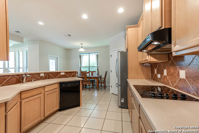 9807 Wismar, Helotes, Texas image 15