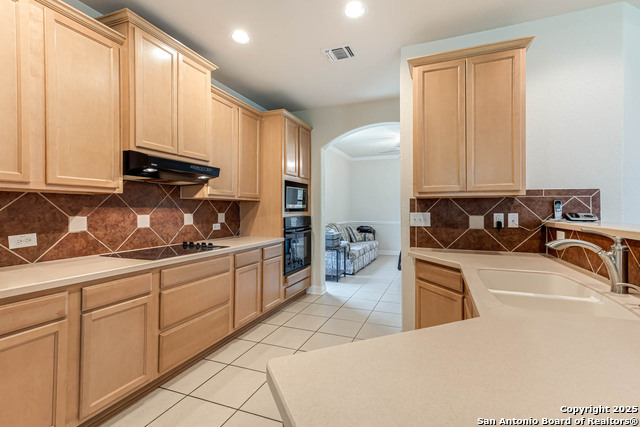 9807 Wismar, Helotes, Texas image 16