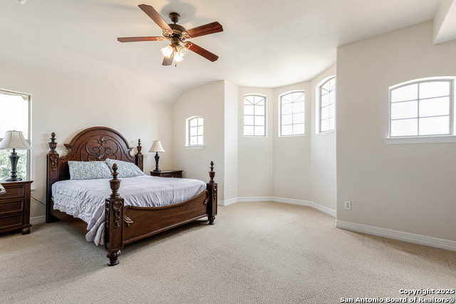 9807 Wismar, Helotes, Texas image 21