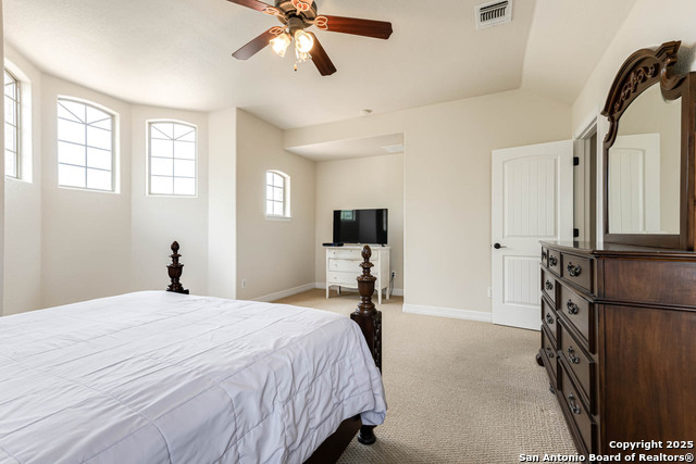 9807 Wismar, Helotes, Texas image 22