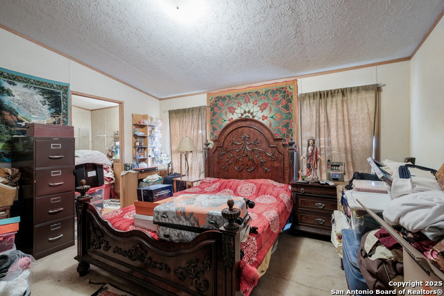 590 Gateway Cir, New Braunfels, Texas image 9