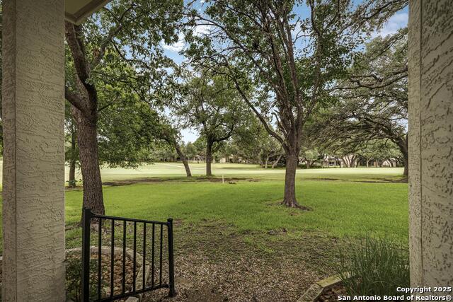 29462 Summit Ridge Drive, Fair Oaks Ranch, Texas image 25