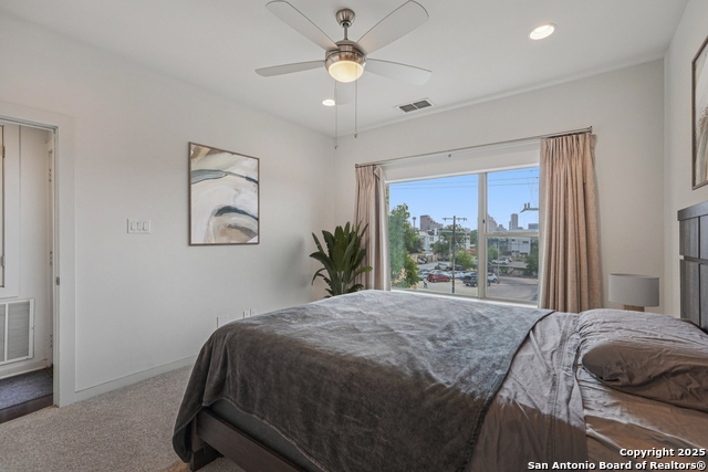 219 Laurel, San Antonio, Texas image 23