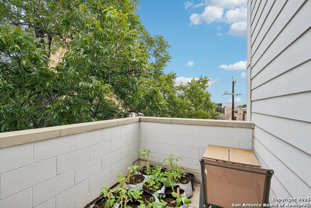219 Laurel, San Antonio, Texas image 34