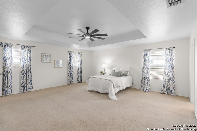 209 Rustic Acres, Selma, Texas image 17