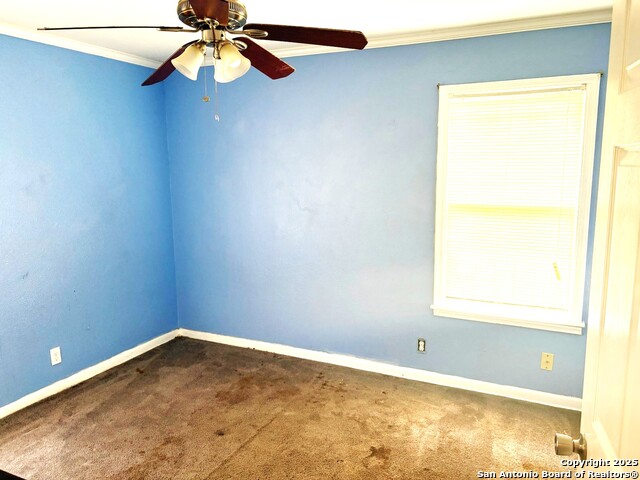 1532 Daytona, Corpus Christi, Texas image 5