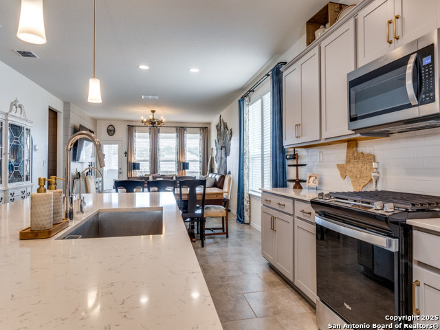 27217 Salt, San Antonio, Texas image 10