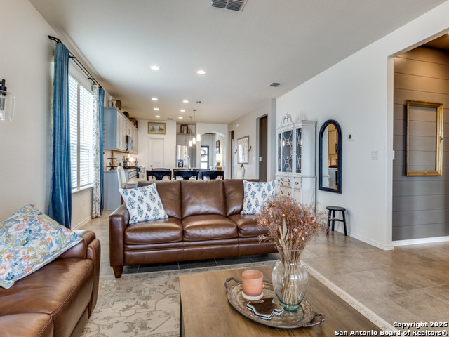 27217 Salt, San Antonio, Texas image 15