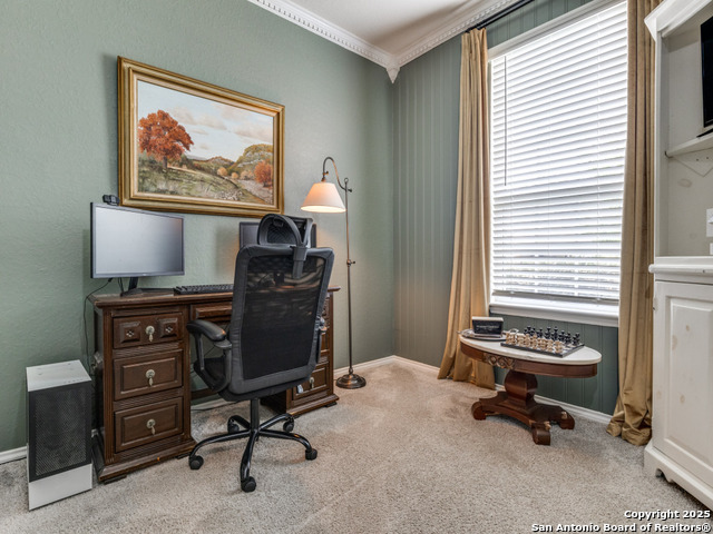 27217 Salt, San Antonio, Texas image 16