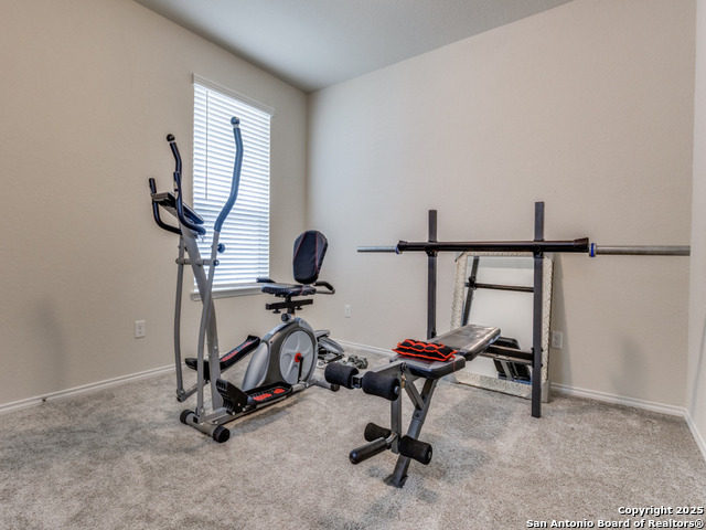 27217 Salt, San Antonio, Texas image 17