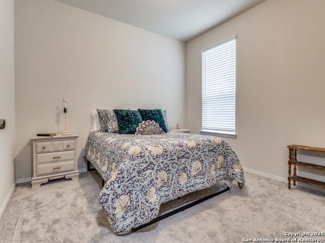 27217 Salt, San Antonio, Texas image 18